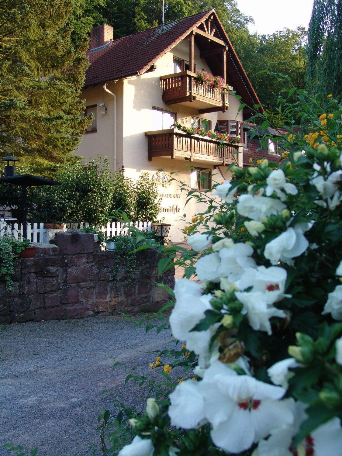 Hotel Restaurant Paradeismuehle Klingenberg am Main Dış mekan fotoğraf